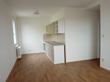 Pokoj s kuchyňskou linkou