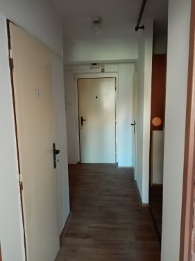 Předsíň
