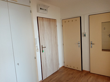 Předsíň