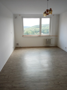 Pokoj s kuchyňskou linkou